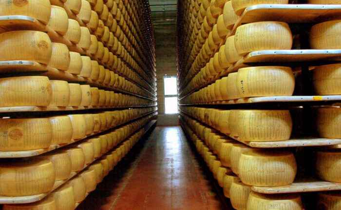 Parmigiano Reggiano wheels aging in a traditional cheese cellar, stacked on wooden shelves