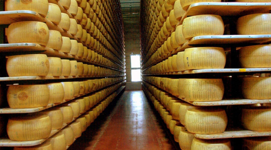 Parmigiano Reggiano wheels aging in a traditional cheese cellar, stacked on wooden shelves